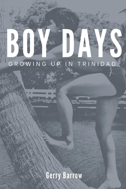Boy Days - Ingram
