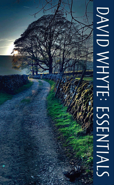 David Whyte Essentials - Ingram