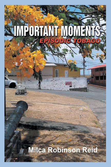 Important Moments: Episodic Tobago - Ingram