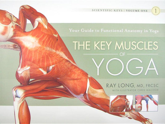 Key Muscles of Yoga - Ingram