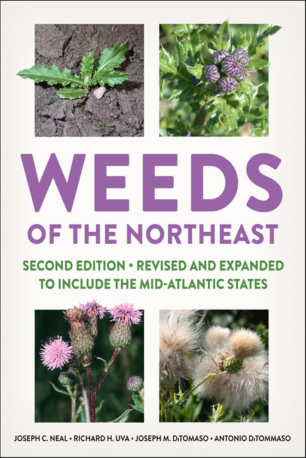 Weeds of the Northeast - Ingram