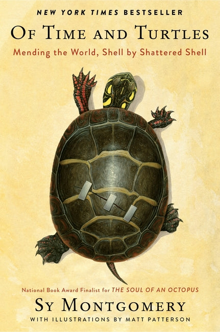 Of Time and Turtles: Mending the World, Shell by Shattered Shell - Ingram