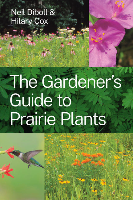 Gardener's Guide to Prairie Plants - Ingram
