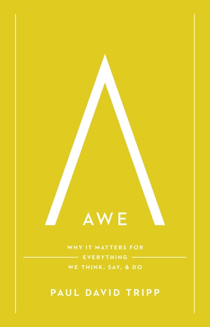 Awe: Why It Matters for Everything We Think, Say, and Do (with Study Questions) - Ingram