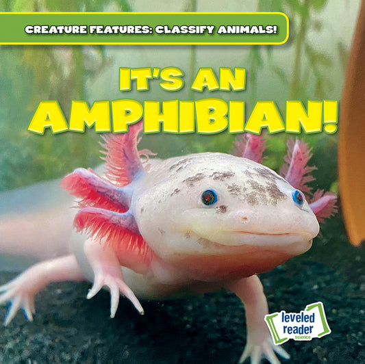 It's an Amphibian! - Ingram