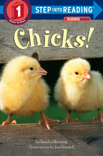 Chicks! - Ingram