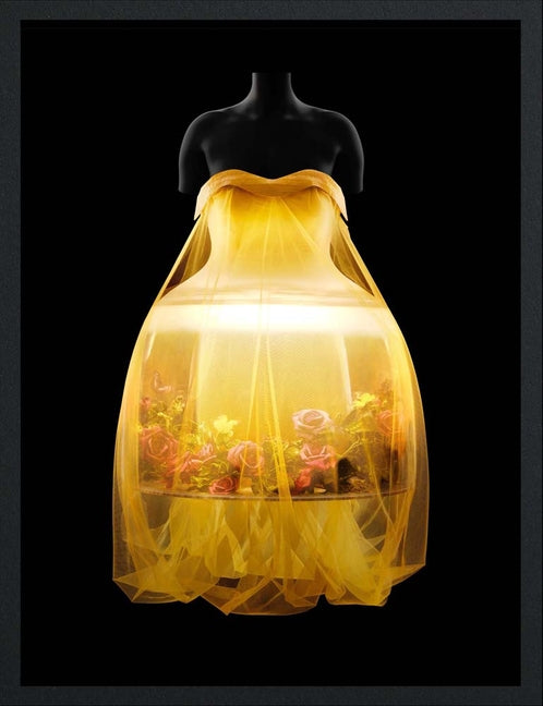 Sleeping Beauties: Reawakening Fashion - Ingram