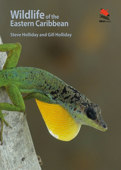 Wildlife of the Eastern Caribbean - Ingram
