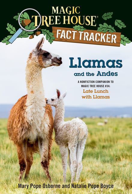Llamas and the Andes: A Nonfiction Companion to Magic Tree House #34: Late Lunch with Llamas - Ingram