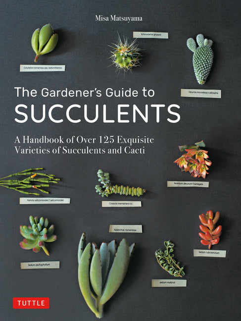 Gardener's Guide to Succulents: A Handbook of Over 125 Exquisite Varieties of Succulents and Cacti - Ingram