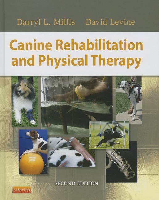 Canine Rehabilitation and Physical Therapy - Ingram