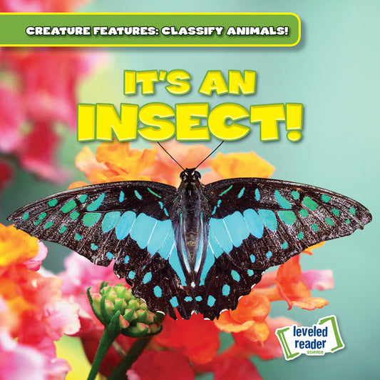 It's an Insect! - Ingram