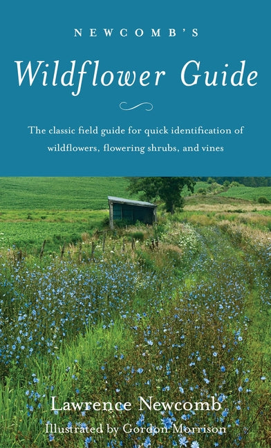 Newcomb's Wildflower Guide - Ingram
