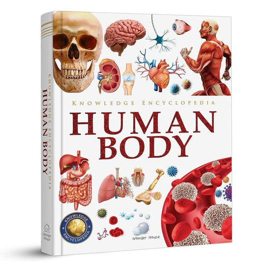Knowledge Encyclopedia: Human Body - Ingram