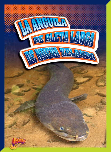 Anguila de Aleta Larga de Nueva Zelanda - Ingram