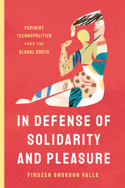 In Defense of Solidarity and Pleasure: Feminist Technopolitics from the Global South - Ingram