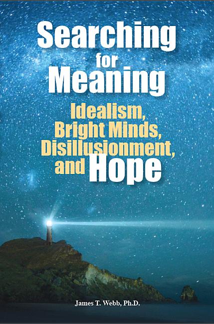 Searching for Meaning: Idealism, Bright Minds, Disillusionment, and Hope - Ingram