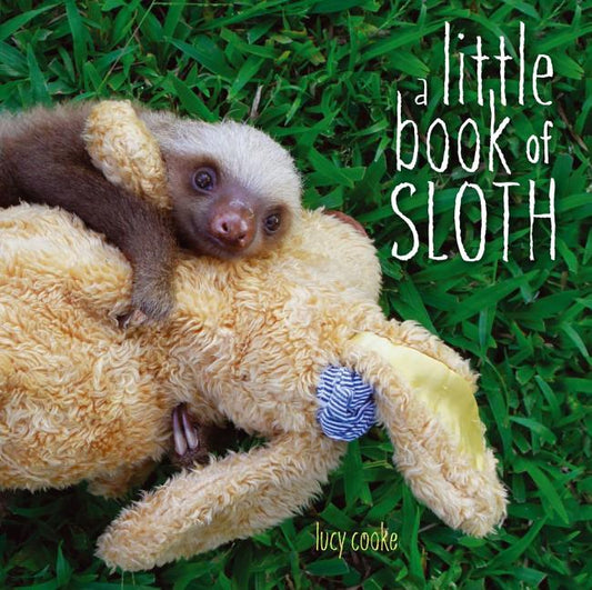 Little Book of Sloth - Ingram
