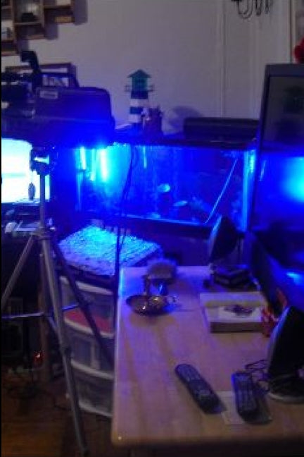 Mount Vernon, New York Collective of Books by: Nelson Norman Featured chapters like - Ingram