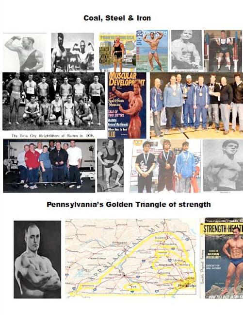 Coal, Steel & Iron. Pennsylvania's Golden Triangle of Strength: Featuring the 75 year anniversary of Twin City Barbell, America's oldest still viable - Ingram