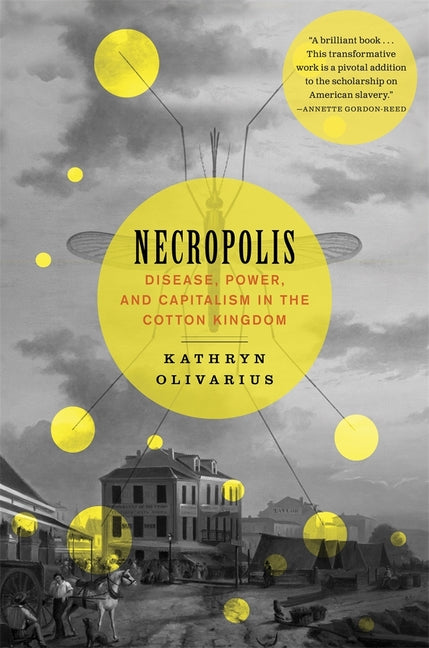 Necropolis: Disease, Power, and Capitalism in the Cotton Kingdom - Ingram