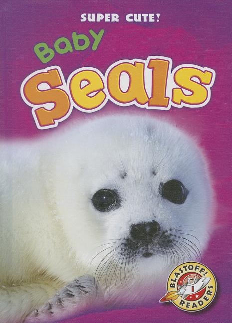 Baby Seals - Ingram