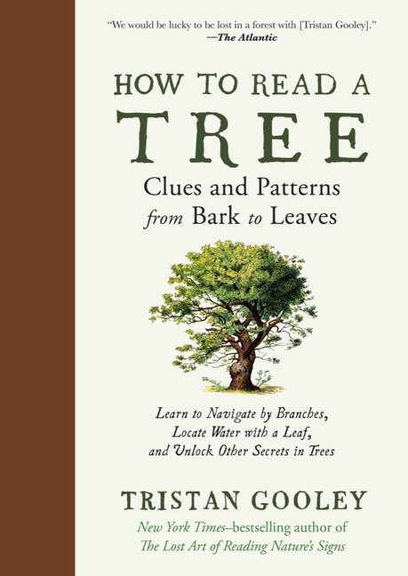 How to Read a Tree: Clues and Patterns from Bark to Leaves - Ingram