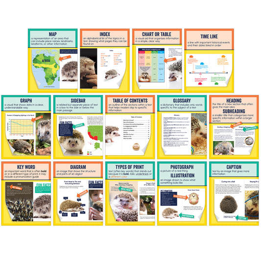Mini Posters: Nonfiction Text Features - Ingram