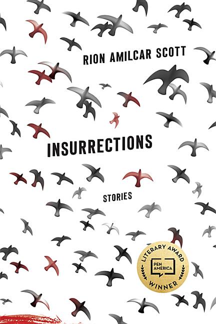 Insurrections: Stories - Ingram