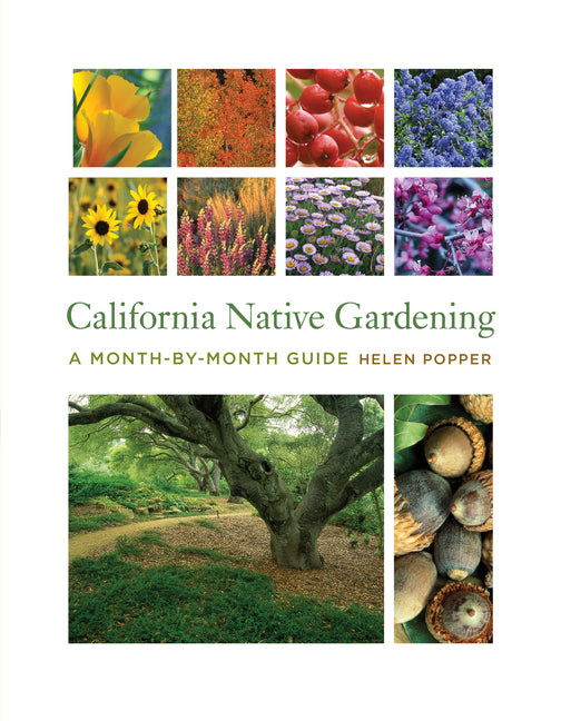 California Native Gardening: A Month-By-Month Guide - Ingram