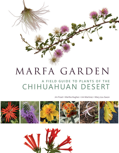 Marfa Garden: A Field Guide to Plants of the Chihuahuan Desert - Ingram
