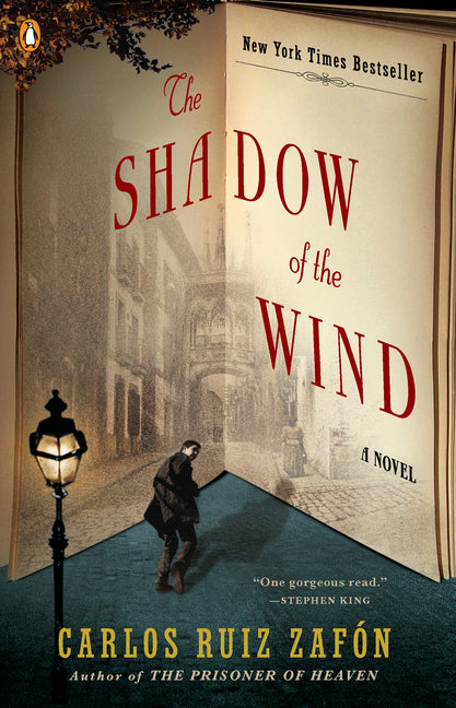 Shadow of the Wind - Ingram