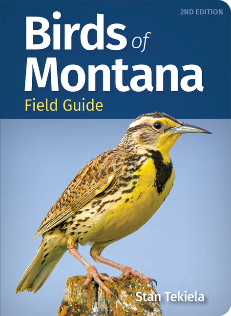 Birds of Montana Field Guide (Revised) - Ingram
