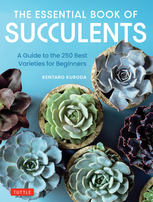 Essential Book of Succulents: A Guide to the 250 Best Varieties for Beginners - Ingram